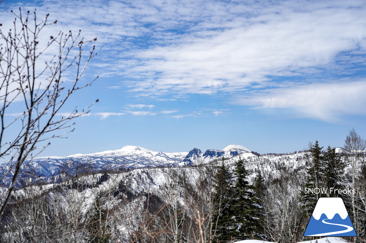 サッポロテイネ　真っ白な雪、澄んだ青空。ゴールデンウィーク２日目は、旭岳～羊蹄山まで見渡せる絶好の春スキー＆スノーボード日和に☆